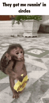a monkey with a backpack on its back is running in circles .