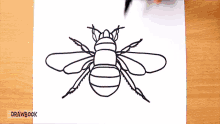 a person is drawing a bee on a piece of paper with drawbook in the corner