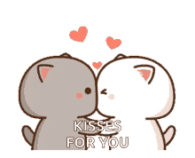 Cat Love GIF - Cat Love Kisses GIFs