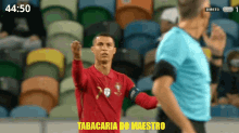 halftime stoppage ronaldo cr7 portugal