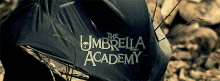 The Umbrella Academy Show GIF - The Umbrella Academy Show GIFs