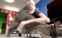 Get Out Ricky Berwick GIF - Get Out Ricky Berwick Cat GIFs