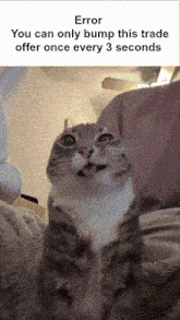 a picture of a cat with the words error you can only bump this trade offer once every 3 seconds above it