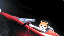 a dog is sitting in a red sports car with a black background