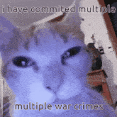 War Crime Cat GIF - War Crime Cat Silly Cat GIFs
