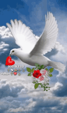 peace dove heart flowers blue