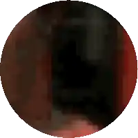 a pixelated image of a circle with a red border