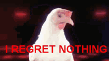 Funny Chicken Regret Nothing GIF - Funny Chicken Regret Nothing GIFs