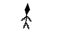 a silhouette of a kite with a string attached to it