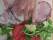 Funniest Cooking Video On The Internet GIF - Food Slice Onions GIFs