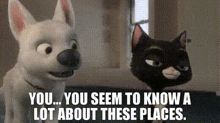 Bolt Movie You Seem To Know A Lot About These Places GIF - Bolt Movie You Seem To Know A Lot About These Places Bolt GIFs