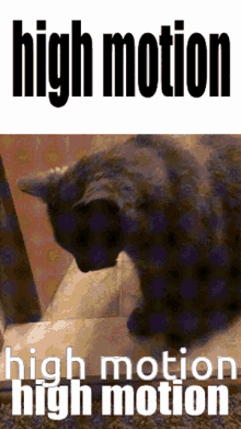 High Motion Niko GIF - High Motion Niko Cat GIFs