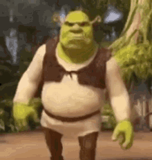 Sherk Disappointed GIF - Sherk Disappointed Lmao Idk GIFs