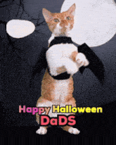 a cat wearing a bat costume with the words happy halloween dads above it