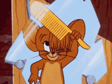jerry the mouse tom and jerry combing hair brushing hair mirror