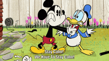 Stay Calm Mickey Mouse GIF - Stay Calm Mickey Mouse Donald Duck GIFs