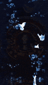 a picture of a woman in a circle with the words rayuan gomb rgm maut