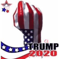 Trump2020 Fist Up Sticker - Trump2020 Fist Up Donald Trump Stickers