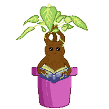 harry sprout