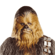 Chewbacca Hairless GIF - Chewbacca Hairless GIFs