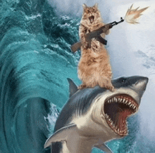 a cat riding on the back of a shark with a gun