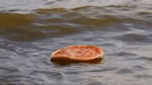 Pizza Floating GIF