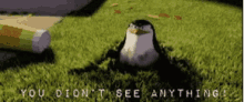 Penguins You Didnt See Anything GIF - Penguins You Didnt See Anything GIFs