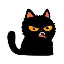 teftel cat