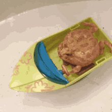 Toad Frog GIF - Toad Frog Ride GIFs