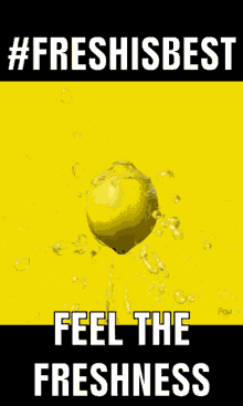 Fresh Lemon GIF - Fresh Lemon Fresh Is Best GIFs