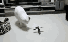 helicopter cat toy scared