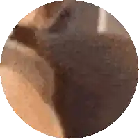 a close up of a person 's face in a circle with a white background