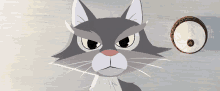 Meow Cat GIF - Meow Cat Pet GIFs