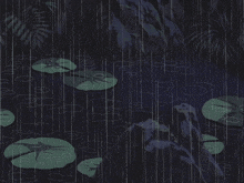a pond with lily pads in the rain