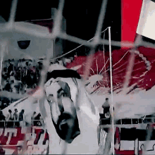 Sharjah Sharjah Club GIF