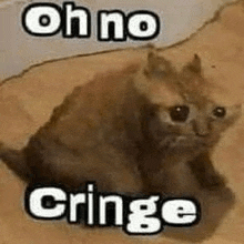 Oh No Cringe Meme GIF - Oh No Cringe Meme Cat GIFs