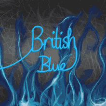British Blue GIF - British Blue GIFs