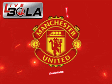 Manchester United Sports GIF