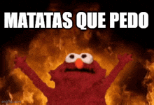 elmo is standing in front of a fire with the words matatas que pedo written below him