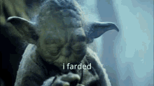 Yoda Farded GIF
