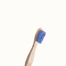 toothbrush babu