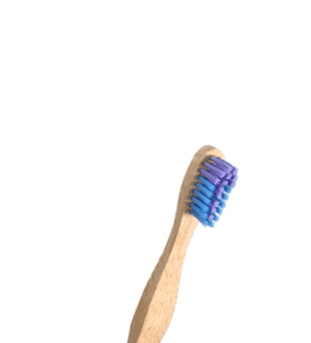 Babu Escova Toothbrush Sticker - Babu Escova Toothbrush Stickers