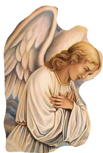 Angel Wings Sticker - Angel Wings Holy Stickers