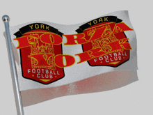 Forza York York Fc GIF - Forza York York York Fc GIFs