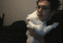 clingy white cat hug come