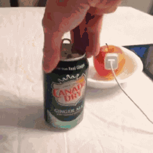 Ginger Ale Canada Dry GIF