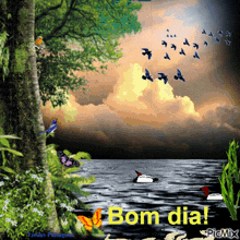 a picture of birds flying over a body of water with bom dia written on it