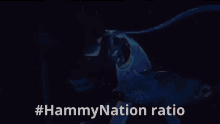 Hammynation Carnagehammy GIF - Hammynation Carnagehammy Carnage GIFs