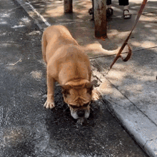 Hot Summer Cooling Off GIF - Hot Summer Cooling Off So Hot GIFs