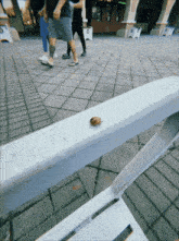 a snail is crawling on a white bench in front of a group of people